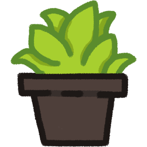 a leafy light green plant in a dark pot.